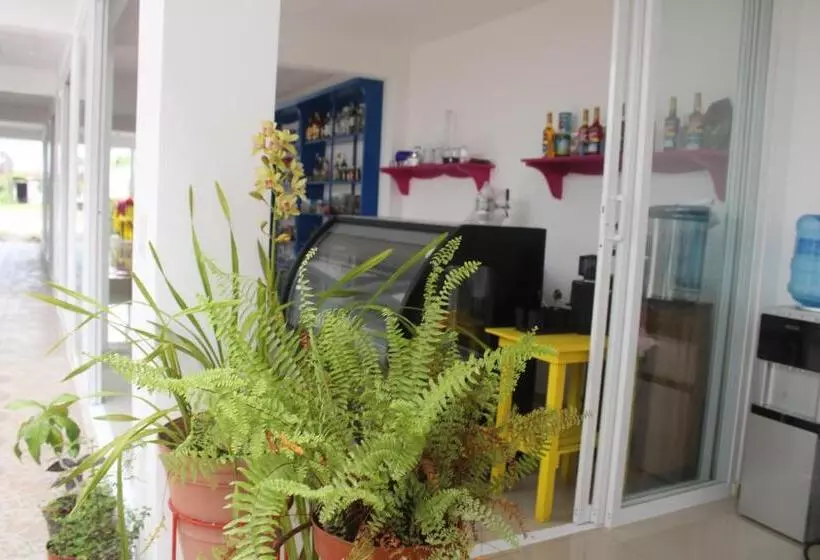 ホテル Boutique La Orquidea