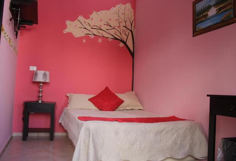 ホテル Boutique La Orquidea