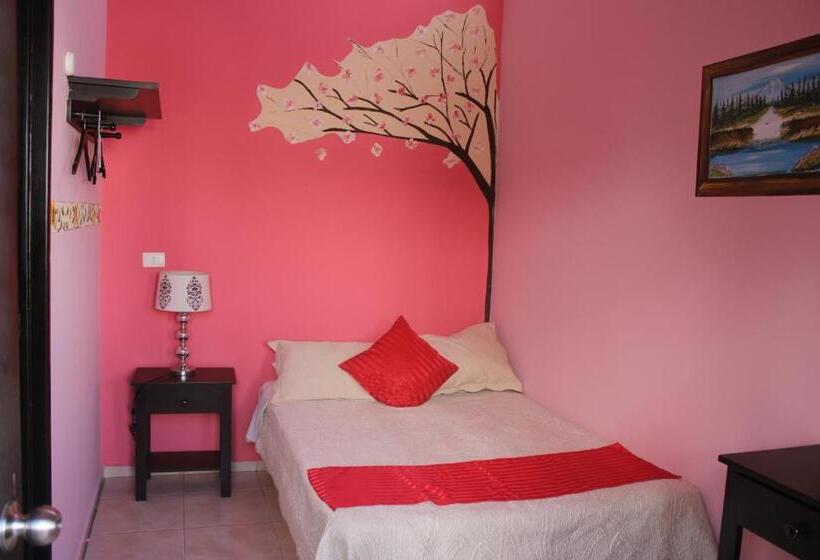 Отель Boutique La Orquidea