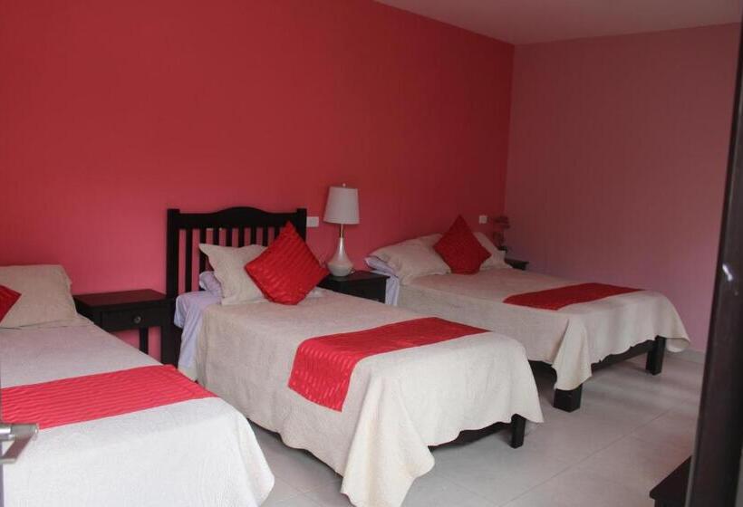 Отель Boutique La Orquidea