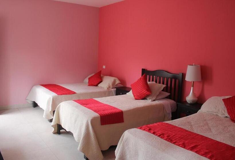 Отель Boutique La Orquidea