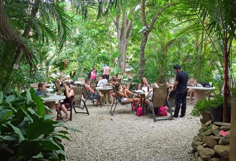 בית מלון כפרי El Sano Banano Beachside