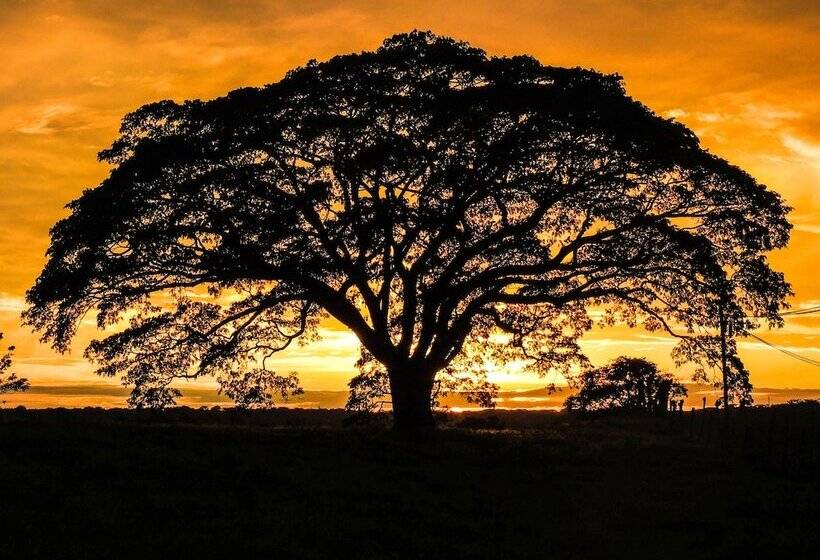בית מלון כפרי El Sano Banano Beachside
