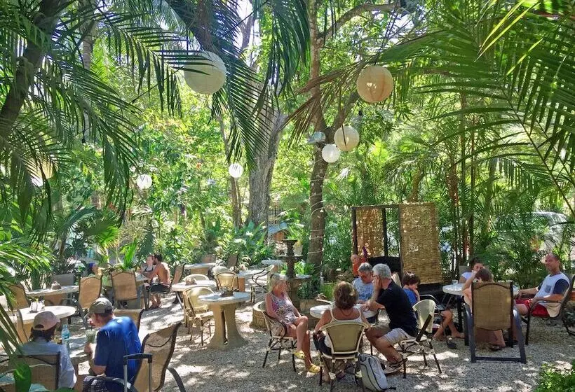 Hotelli El Sano Banano Beachside