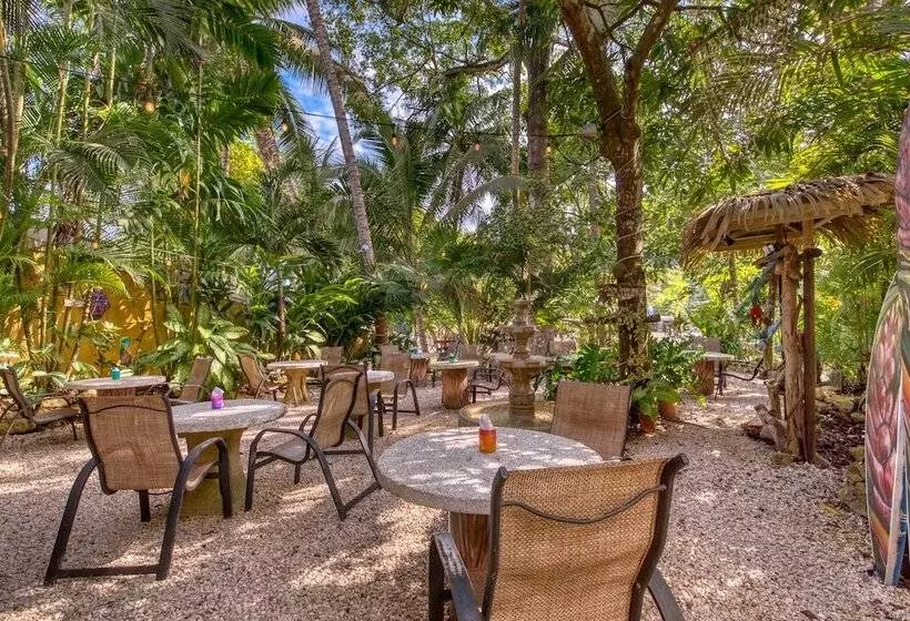 Hotelli El Sano Banano Beachside