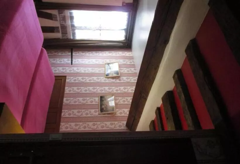 Hotel Hôtel Stella
