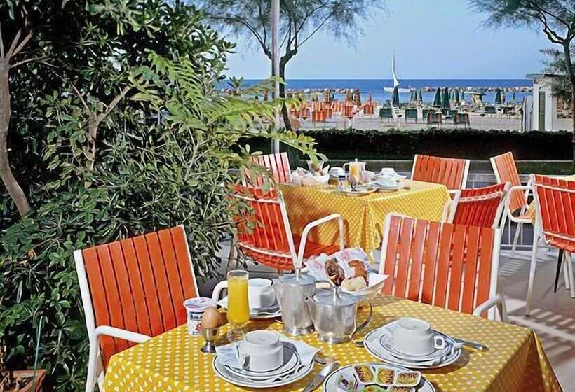 فندق International