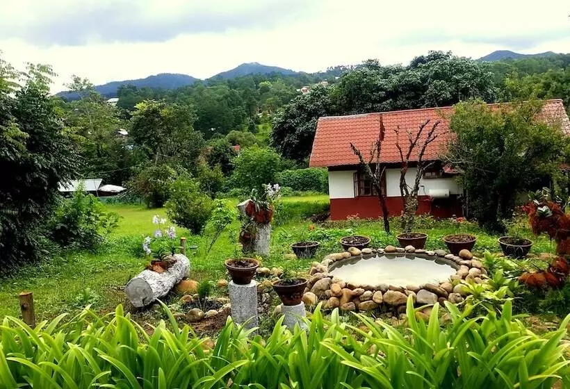 هتل Morning Glory Inn
