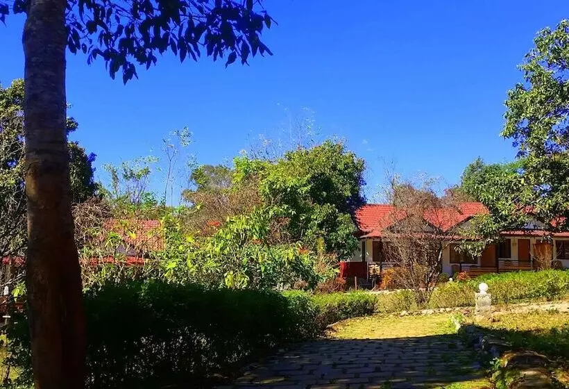 هتل Morning Glory Inn