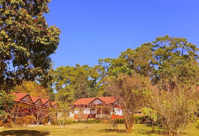 Hotel Morning Glory Inn