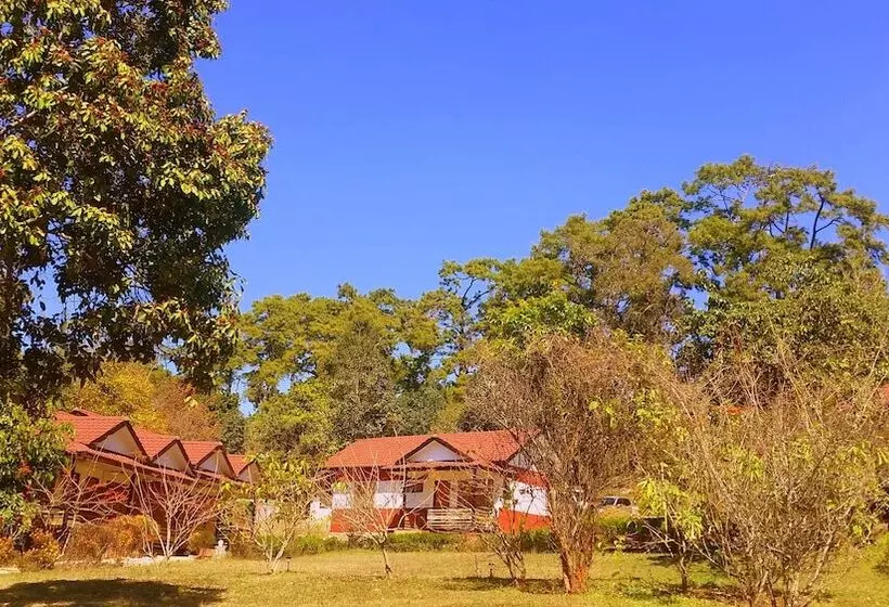 هتل Morning Glory Inn