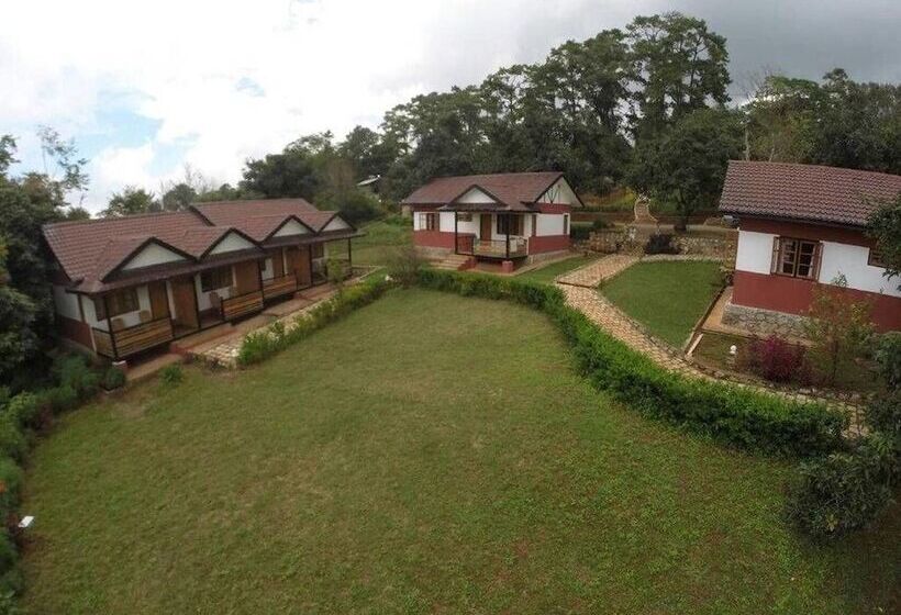 Hotel Morning Glory Inn