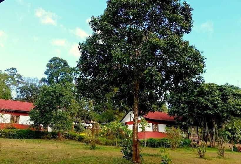 Hotel Morning Glory Inn