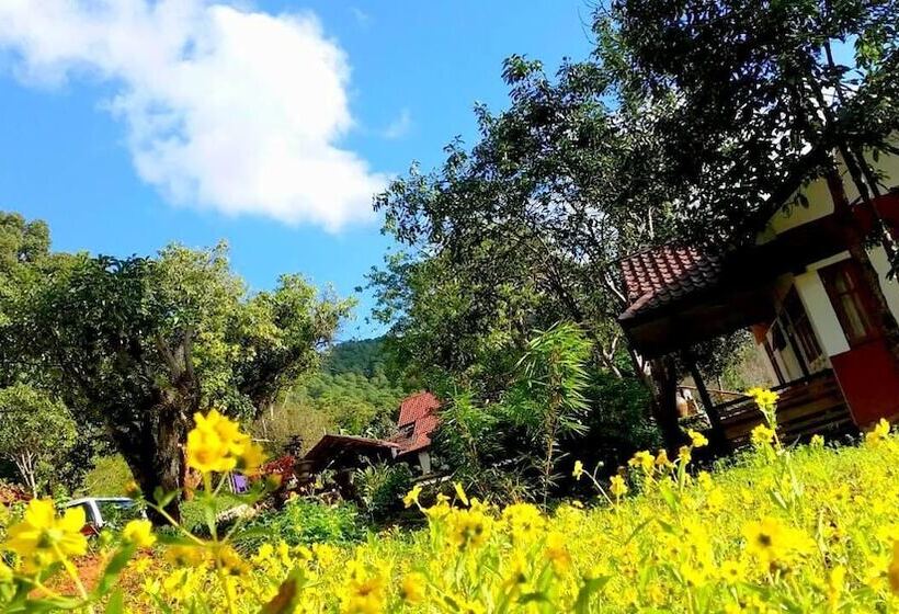 Hotel Morning Glory Inn