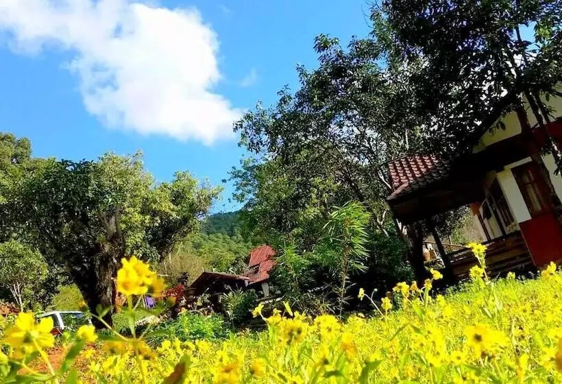 هتل Morning Glory Inn
