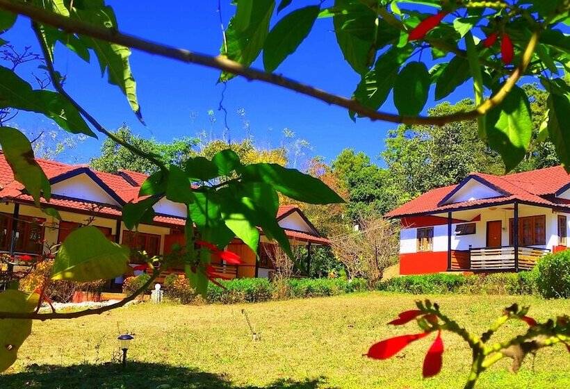 Hotel Morning Glory Inn