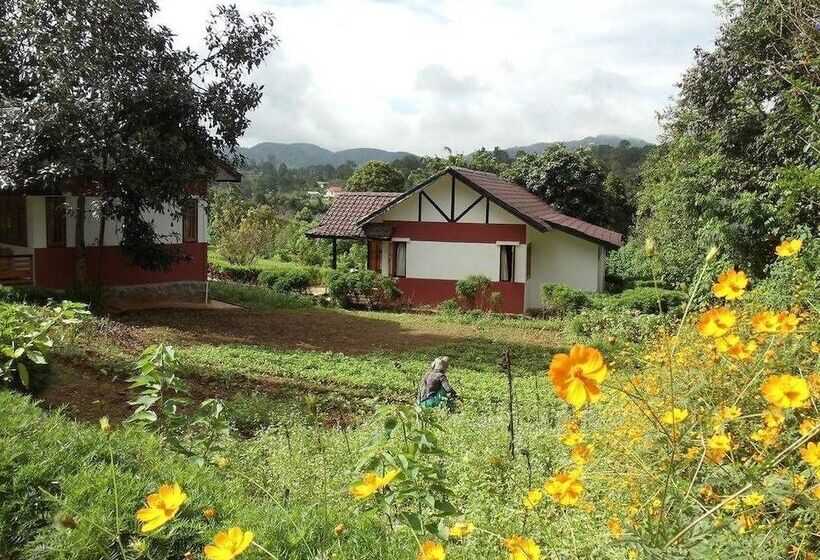 Hotel Morning Glory Inn