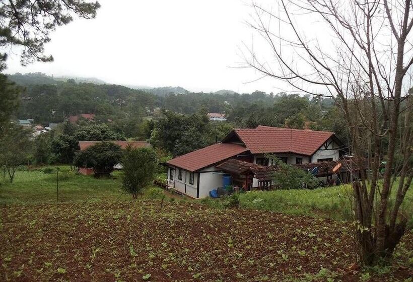 Hotel Morning Glory Inn