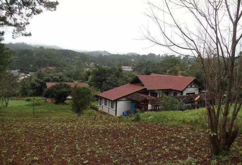 هتل Morning Glory Inn