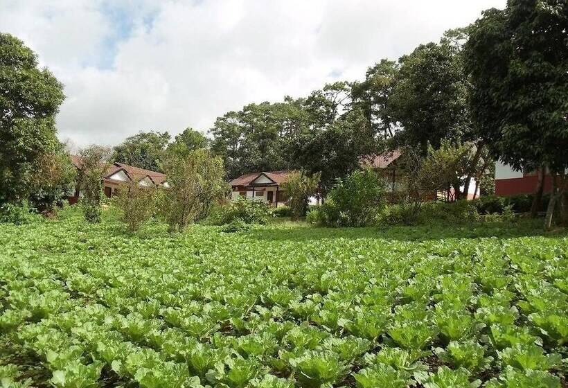 Hotel Morning Glory Inn