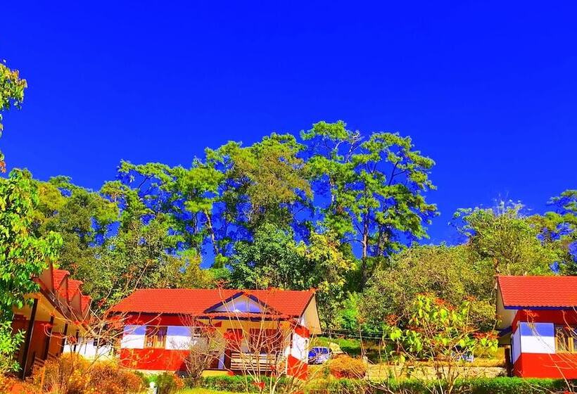 Hotel Morning Glory Inn