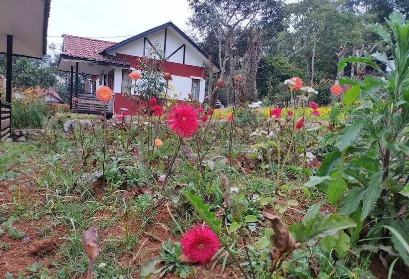 هتل Morning Glory Inn