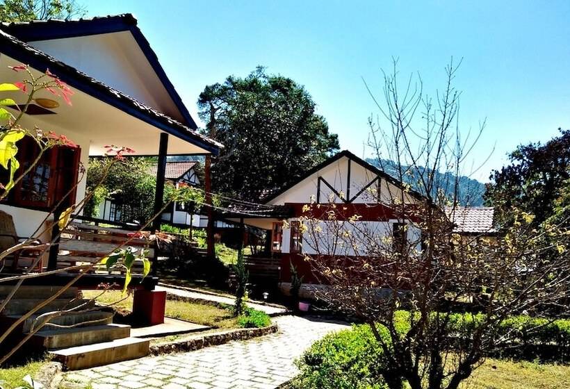 Hotel Morning Glory Inn