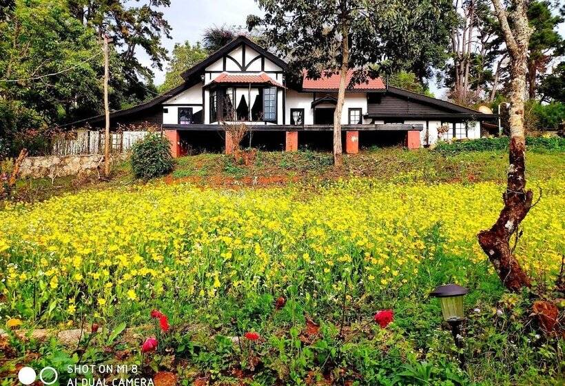 Hotel Morning Glory Inn