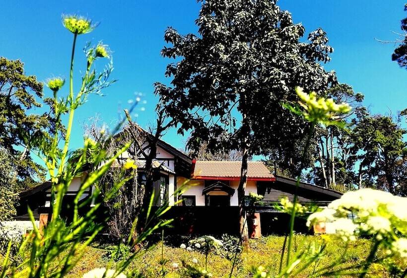 Hotel Morning Glory Inn