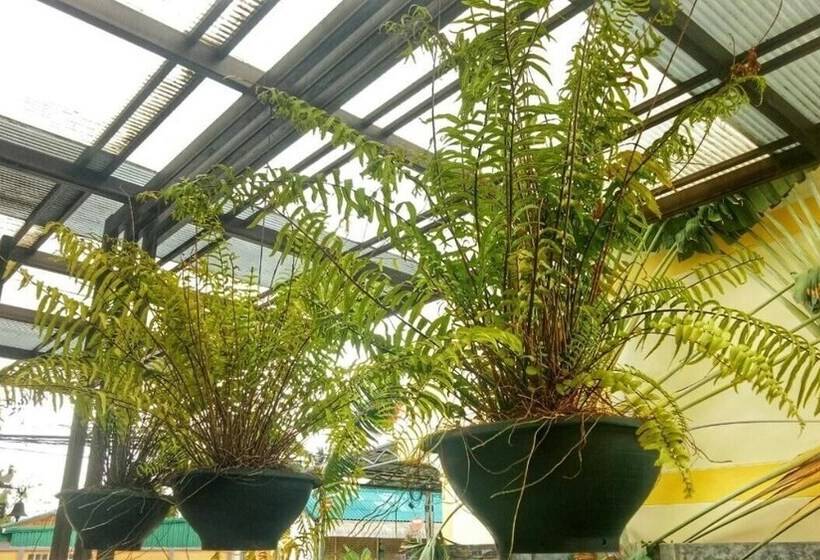 Отель The Bliss Loei Living