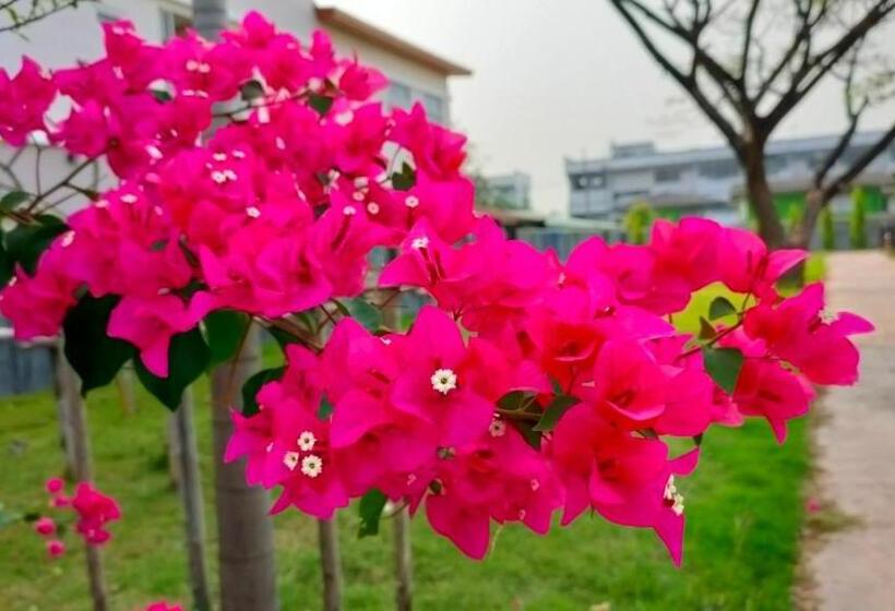 Отель The Bliss Loei Living