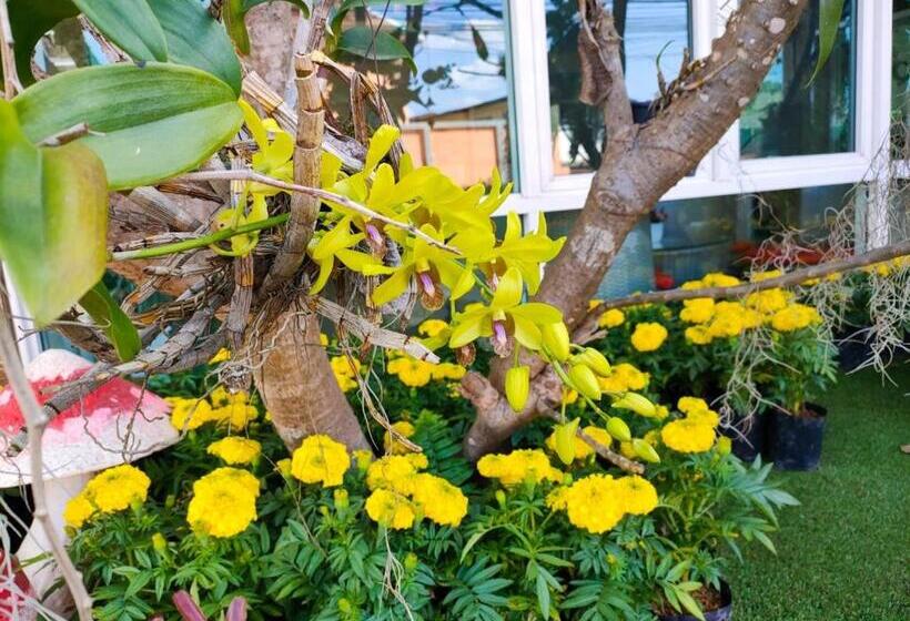 Отель The Bliss Loei Living