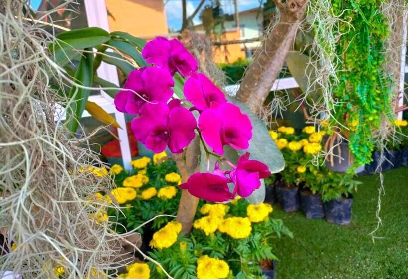 Отель The Bliss Loei Living