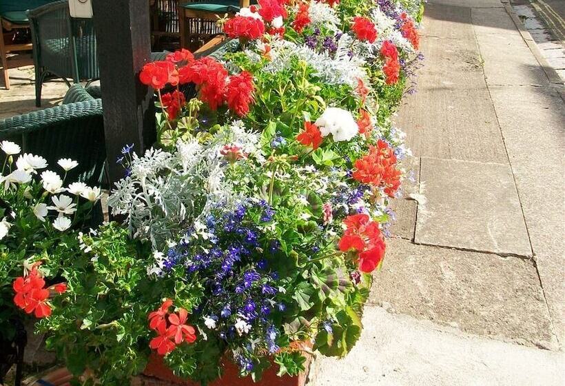 Panzió Trentham House