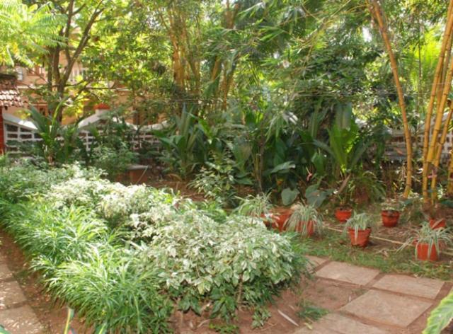 Resort Pinto Guest House