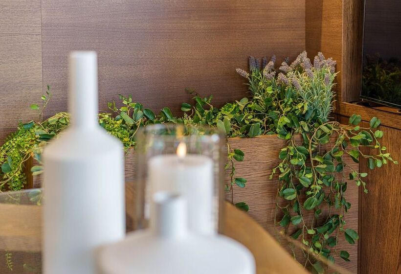 Apartamentos Gibralfaro Centro