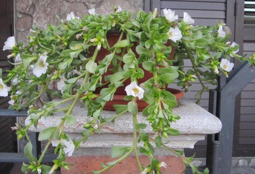 B&b Il Sole Nascente