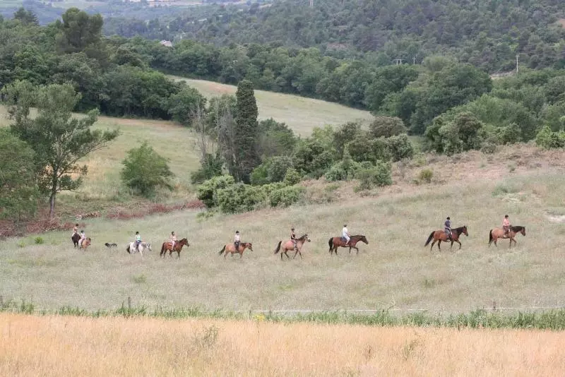 Domaine De Fraisse