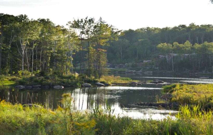 Etoile Du Matin   Rvmt