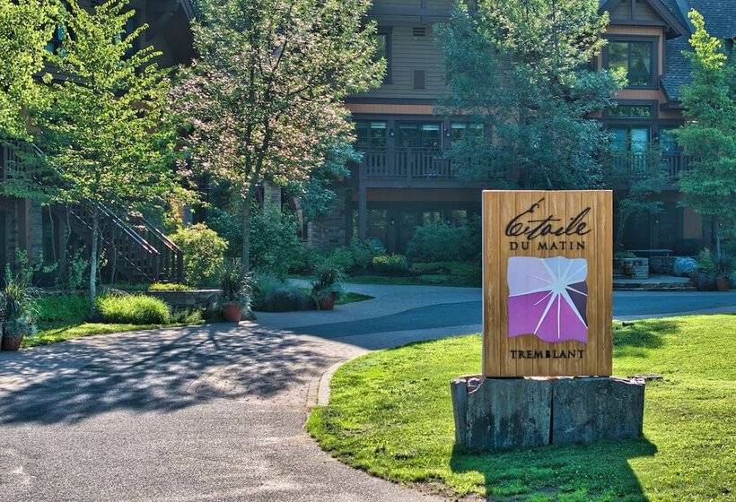 Etoile Du Matin   Rvmt