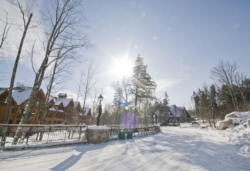 Etoile Du Matin   Rvmt