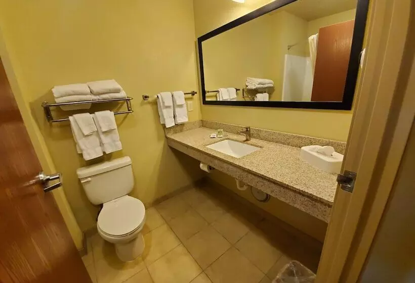 ホテル Cobblestone Inn And Suites   Eaton