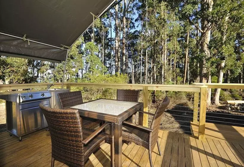 ホテル Nrma Port Arthur Holiday Park