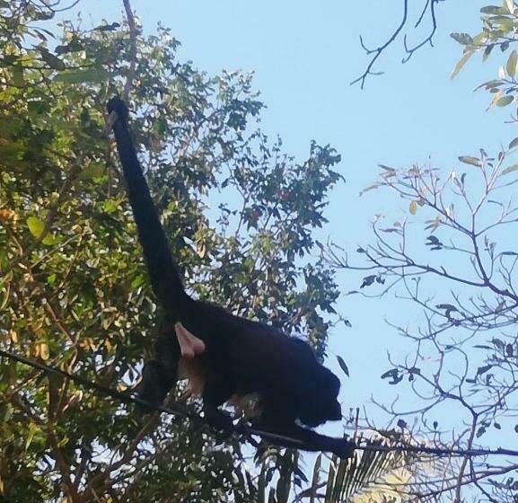 펜션 Vista Naranja Ocean View House