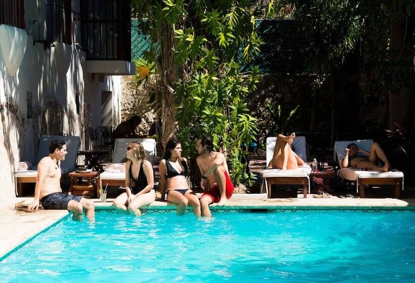 Siesta Fiesta Hotel & Hostel