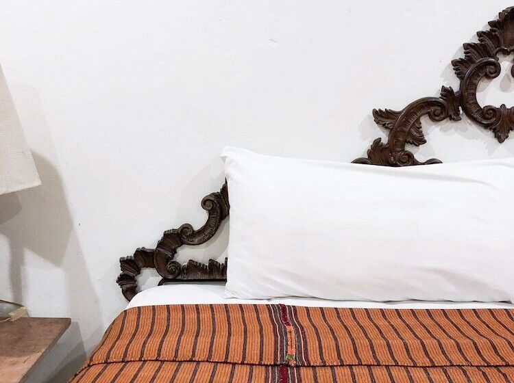 Siesta Fiesta Hotel & Hostel