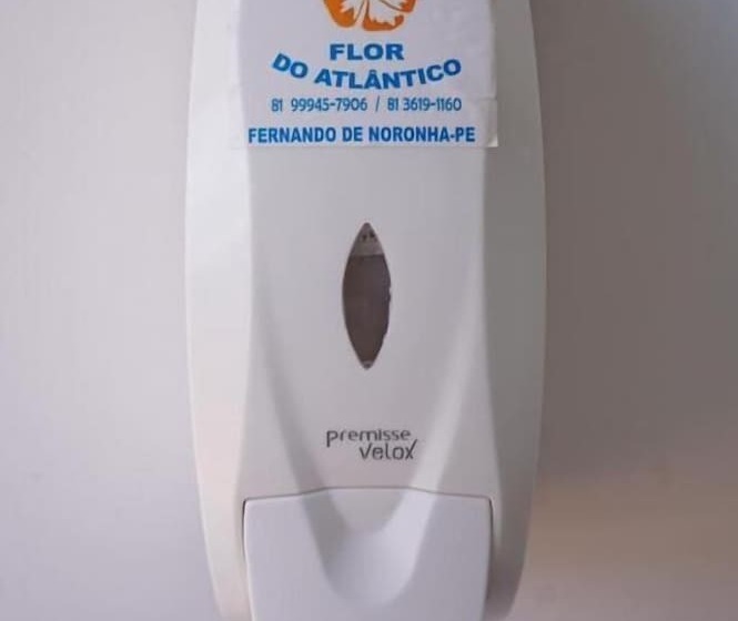 Отель Pousada Flôr Do Atlântico