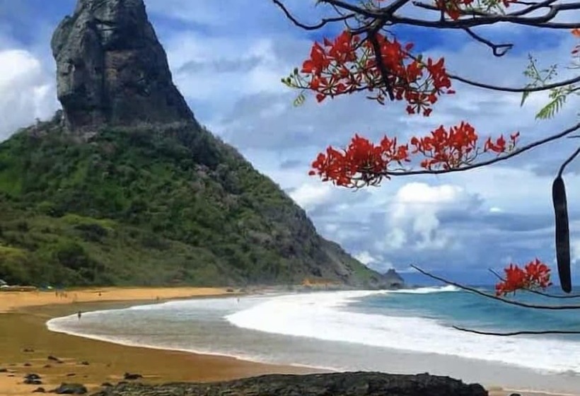 Отель Pousada Flôr Do Atlântico