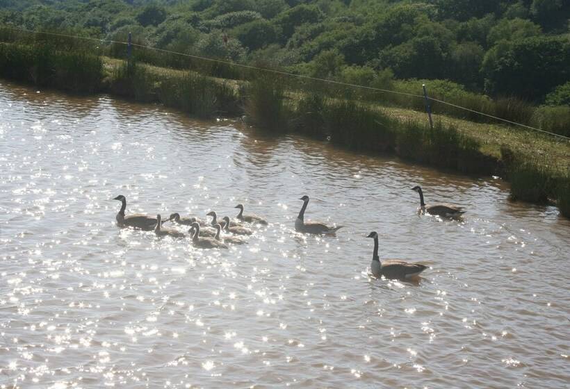 Отель The Rose 37ft Lakeside Yacht With Hot Tub