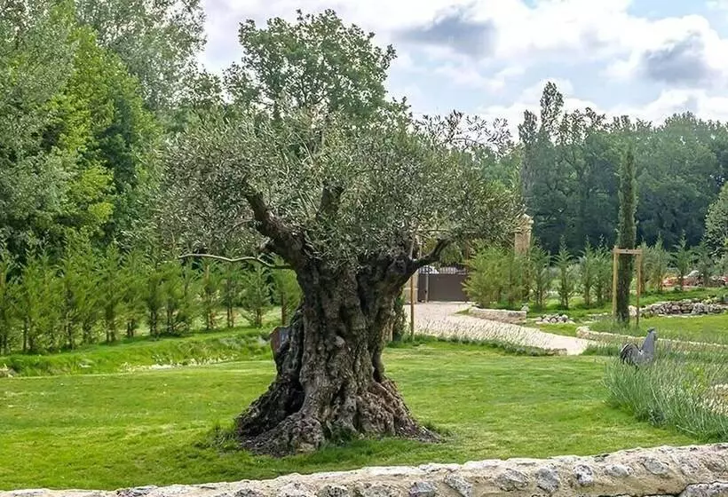 Majatalo Le Moulin Dumas